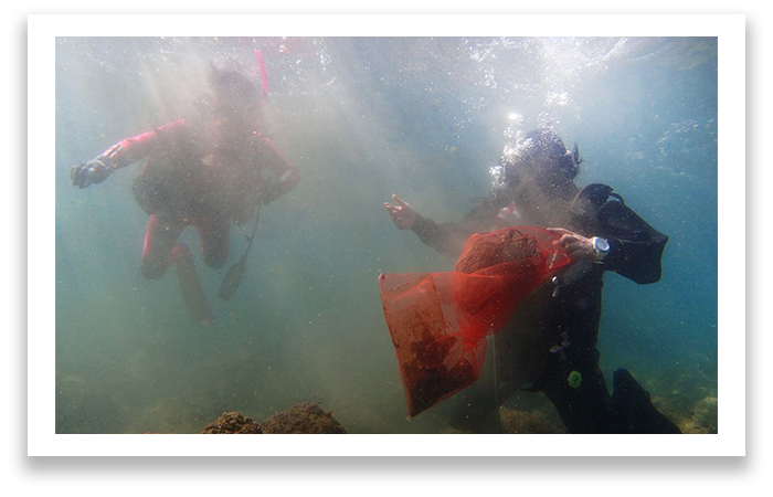 海中清掃する二人