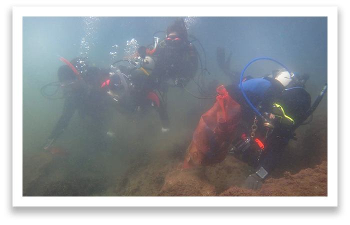 海中清掃中の障害者たち