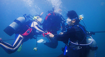 江之浦漁港バリアフリーダイビングイベント