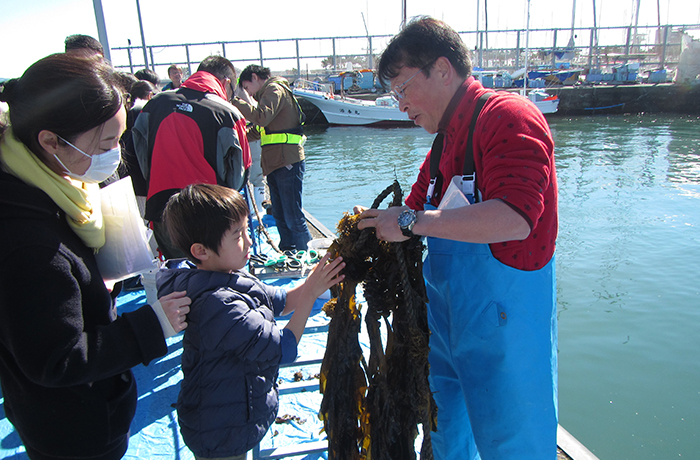 海藻シンポジュウム ～ワカメの刈り取り体験編～のイメージ