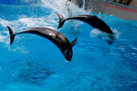 新江ノ島水族館