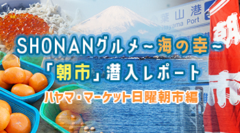 SHONANグルメ~海の幸~「朝市」潜入レポート