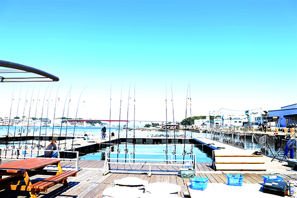 にじいろさかな号4