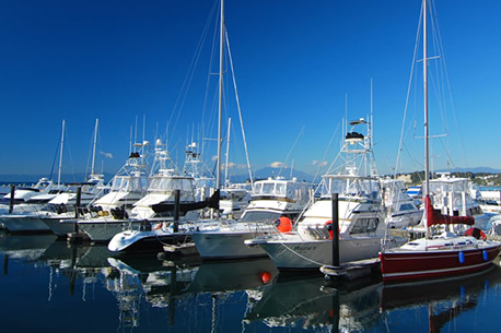 리비에라 즈시 마리나
