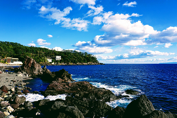 케이프 마나즈루