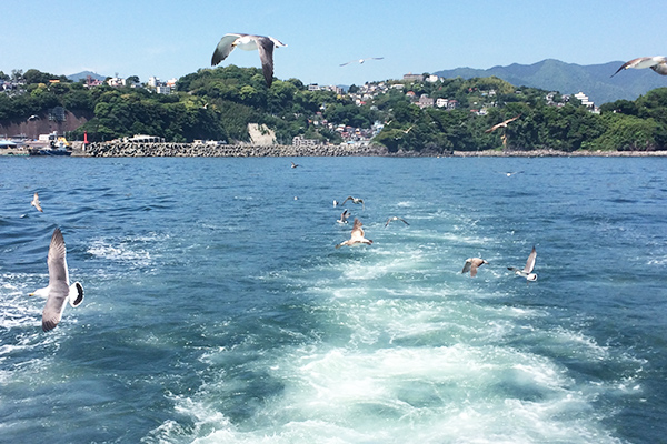 배에서 보는 바다