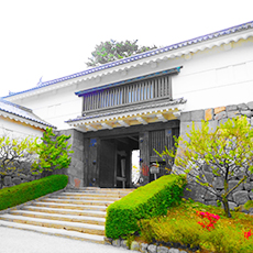 小田原城天守閣2