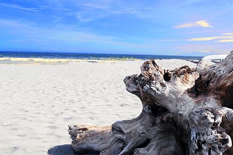 辻堂沙灘（辻堂海岸）