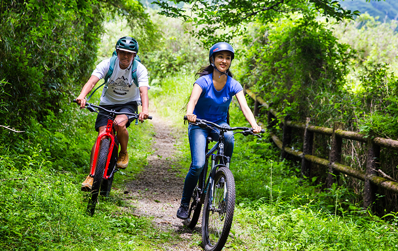 Hakone Mountain Ripperイメージ