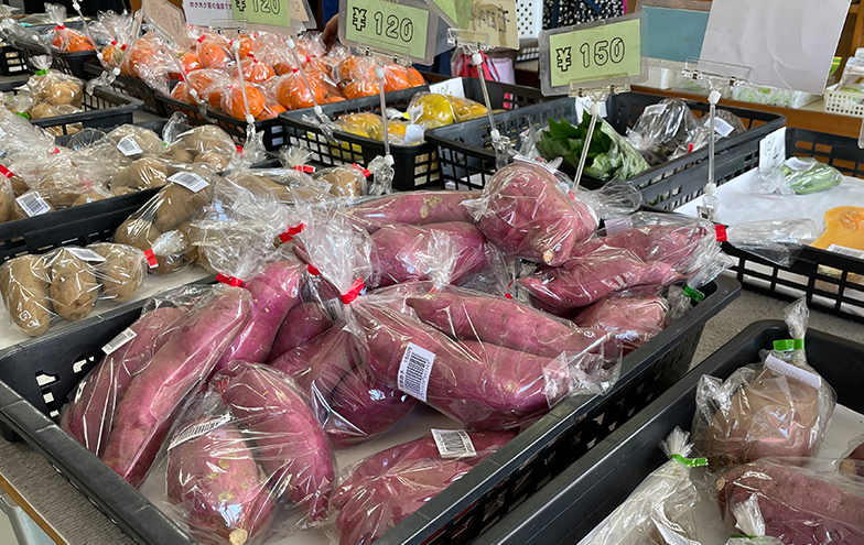 コスモス館イメージ