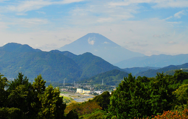 松田町観光協会イメージ