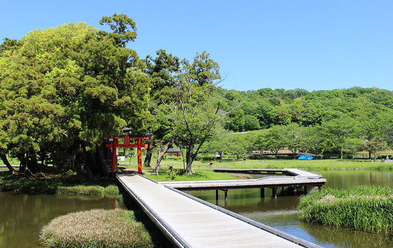 厳島湿生公園イメージ