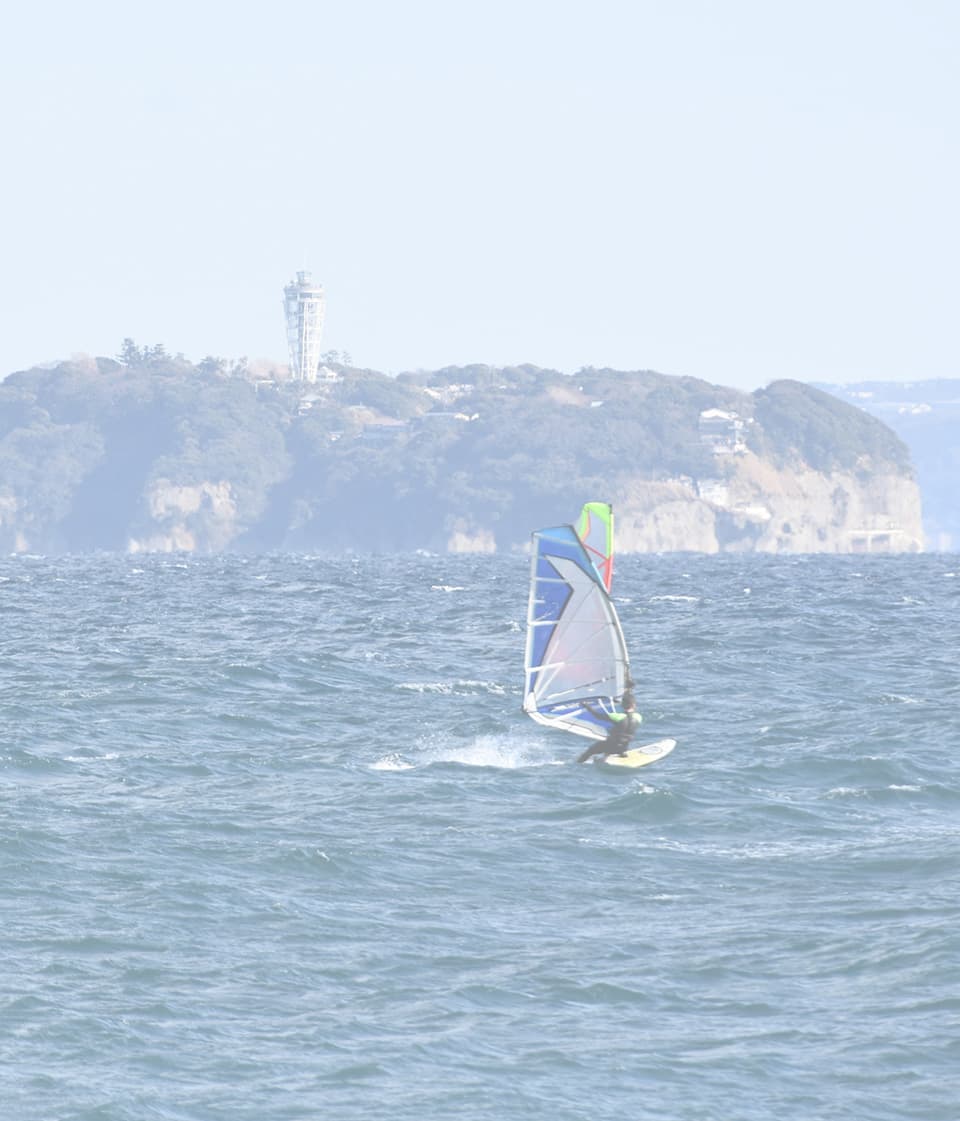 写真・動画ライブラリー