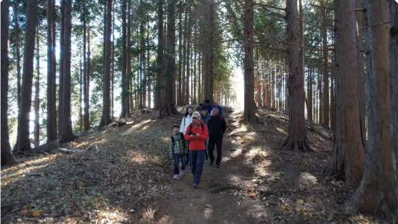 ハイキング・トレッキング