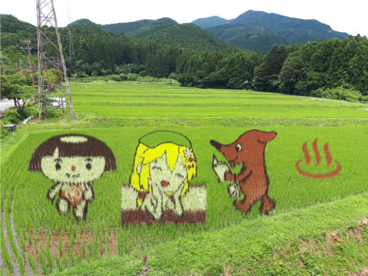 かながわキンタロウ田んぼアート