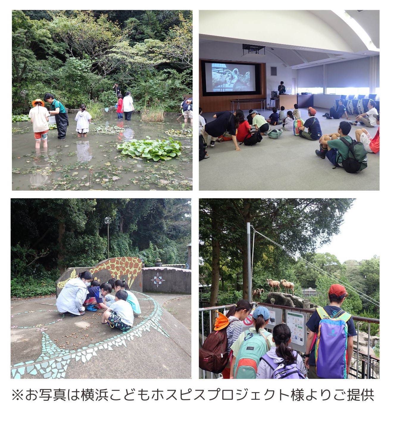 きょうだい児支援事業で金沢自然公園・金沢動物園に出かけたときのさん子。※お写真は横浜こどもホスピスプロジェクトさんよりご提供
