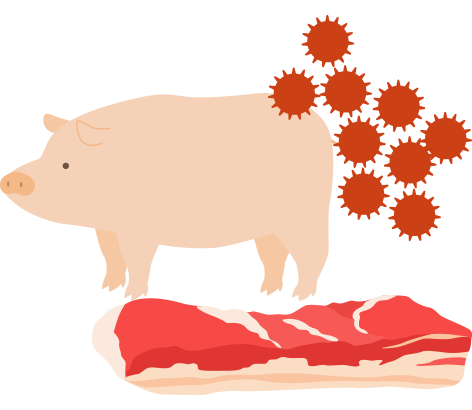 豚熱のイラスト