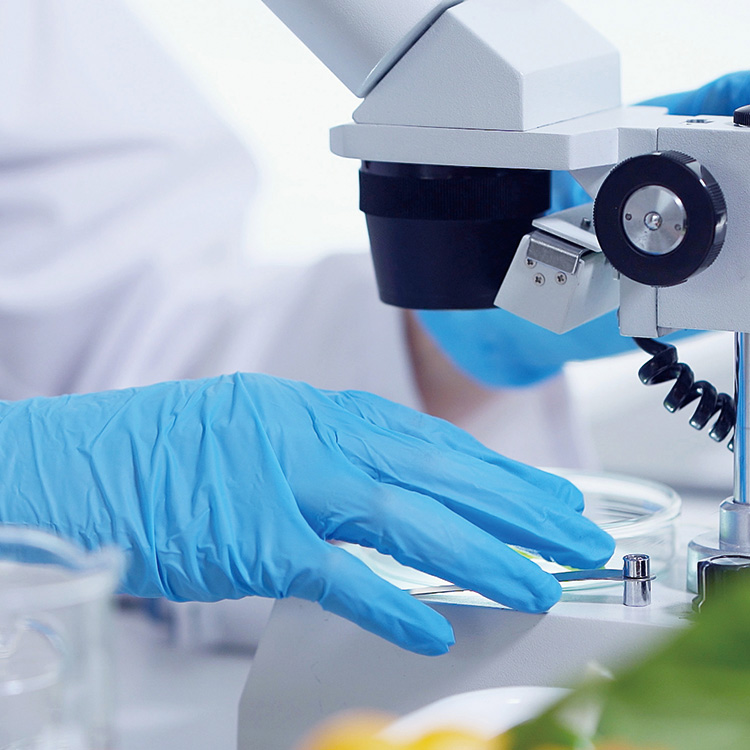 食品添加物・放射性物質・残留農薬などを調べている写真