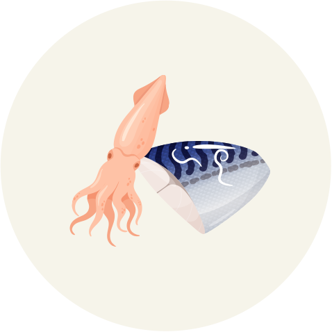 アニサキスを持っている食材のイラスト