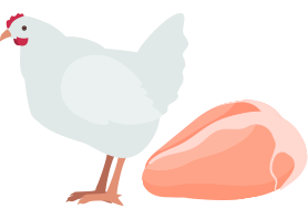鳥肉のイラスト