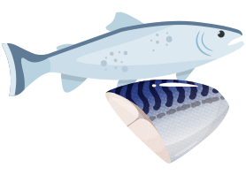 魚のイラスト