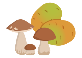 キノコ・じゃがいものイラスト