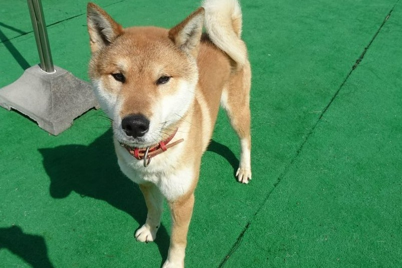 写真:センターでの前川くん
