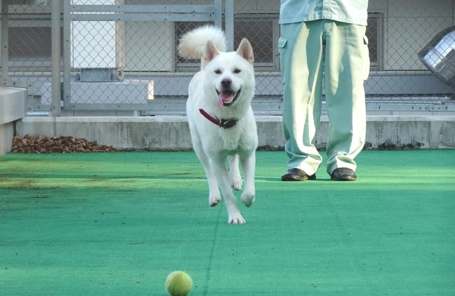写真:センターに慣れたバイエルン