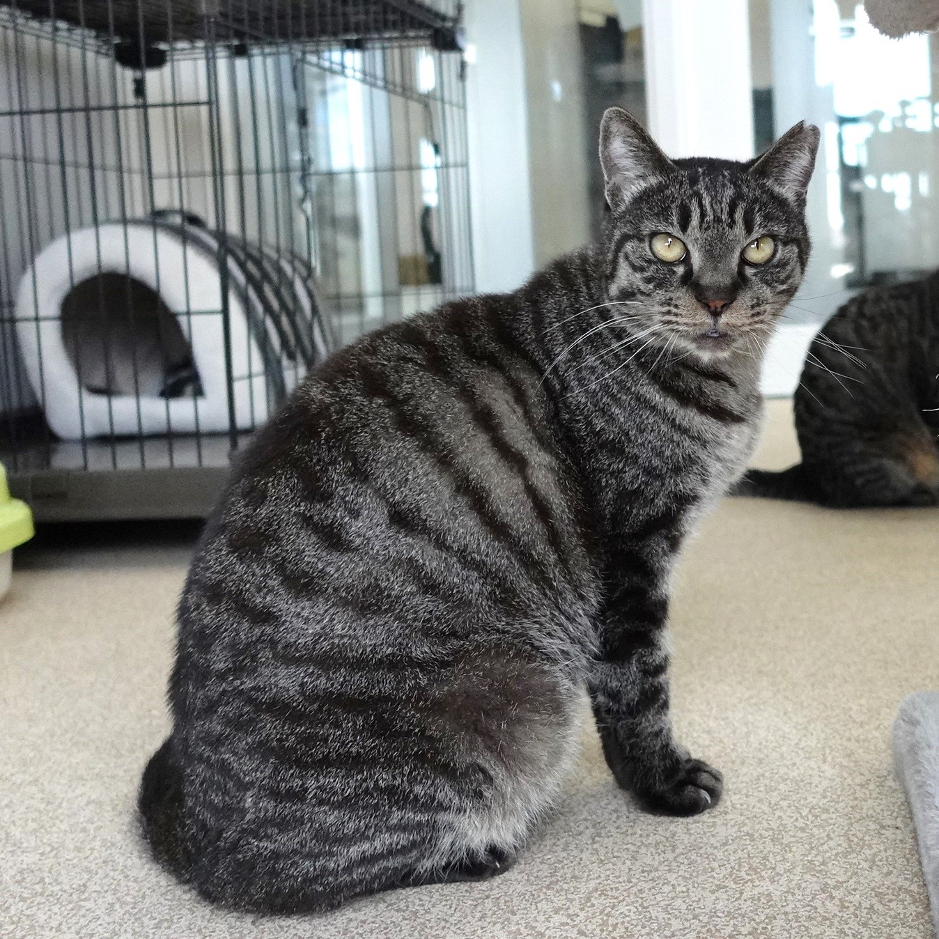 写真：治療後のちひろ