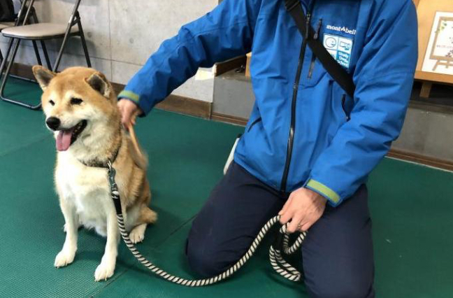 写真:ブラシに馴らす練習の様子