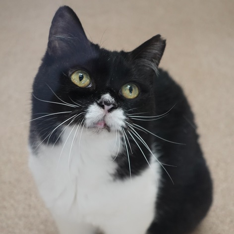 写真：鈴の写真