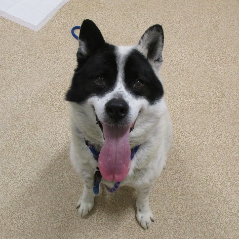 写真：うっしーの写真