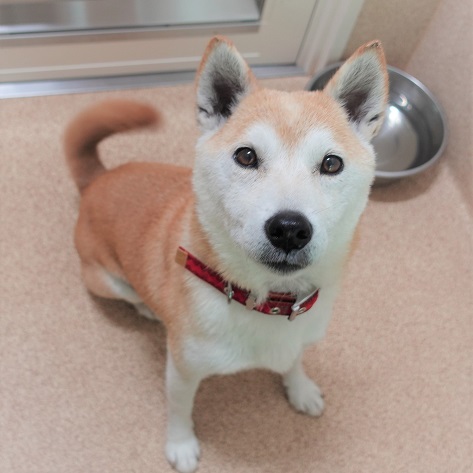 写真：ゆっこの写真