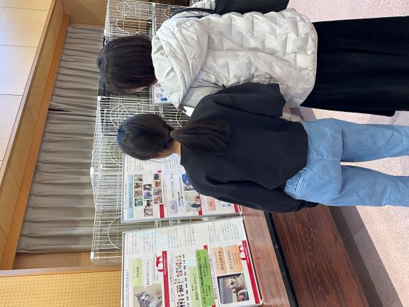 写真：譲渡会の様子２