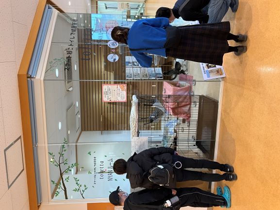 写真：譲渡会の様子３