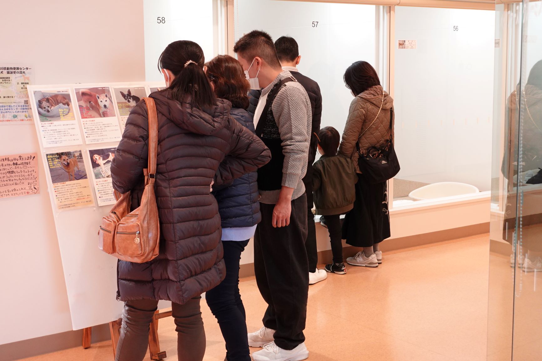 写真：譲渡会の様子1