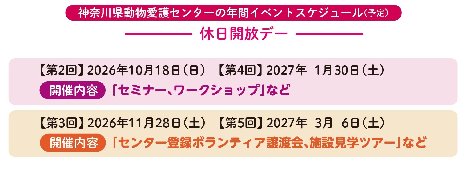 年間スケジュール