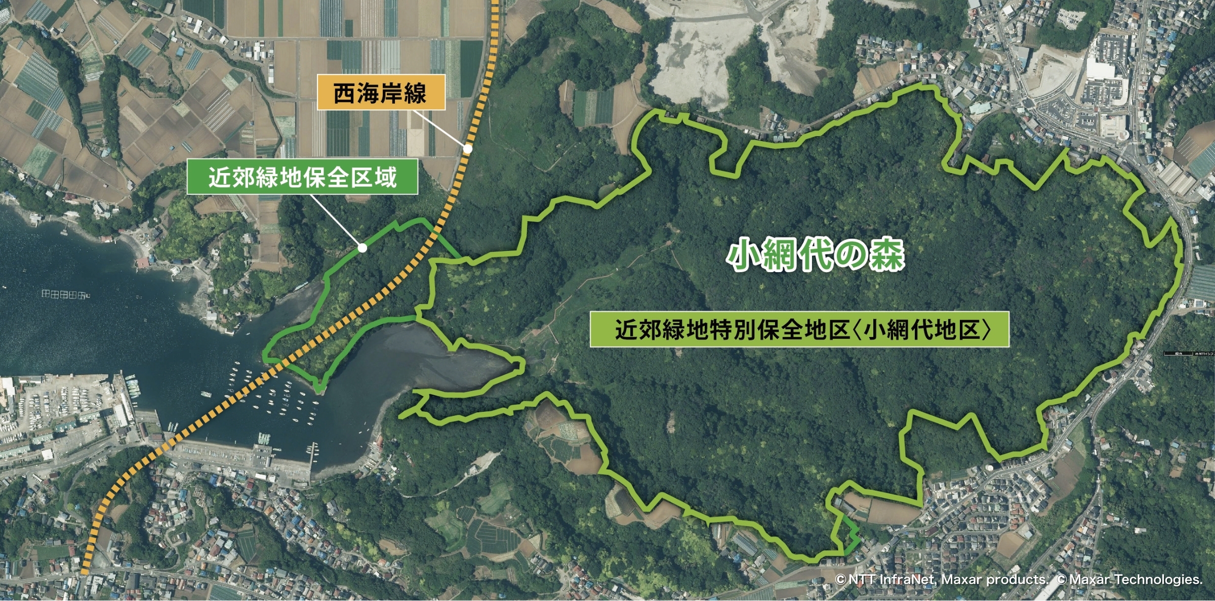 小網代区域：近郊緑地保全区域図