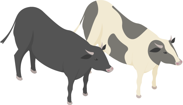 SCHEDULE ある1日のスケジュール