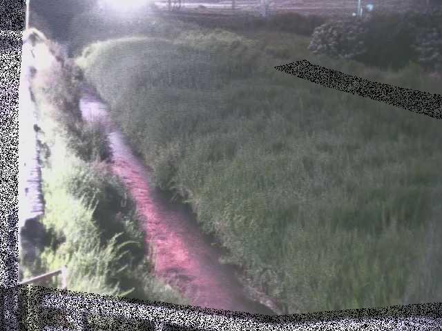若宮橋付近 [Wakamiya Bridge] のカメラ画像