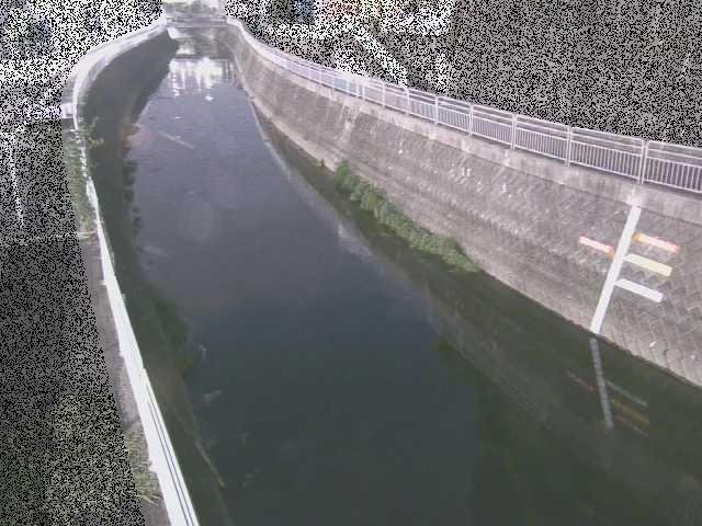 上土棚新橋付近 [Kamitsuchidana-Shimbashi Bridge] のカメラ画像