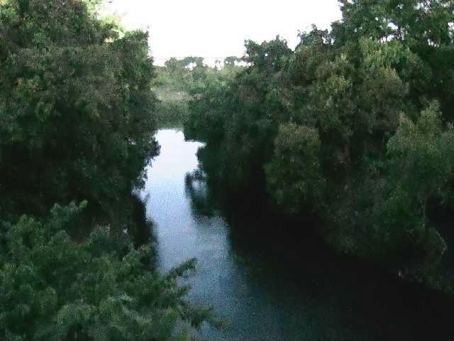 海老名分水路付近 [Ebina Diversion Channel] のカメラ画像