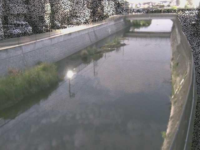 大山橋付近 [Oyama Bridge] のカメラ画像