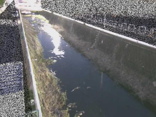 東洋橋付近 [Toyo Bridge] のカメラ画像