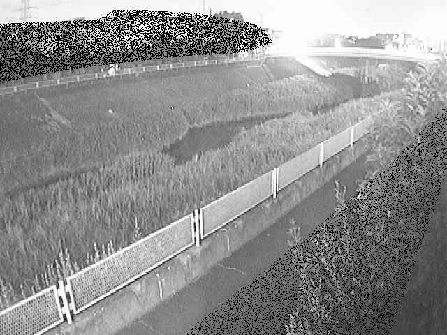 高田橋付近 [Takada Bridge] のカメラ画像