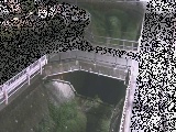 あゆみ橋付近のカメラ画像