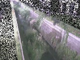 矢崎橋付近のカメラ画像