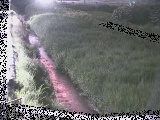 若宮橋付近のカメラ画像