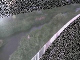 小出川 一ツ橋付近のカメラ画像
