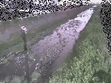 玉川橋付近のカメラ画像
